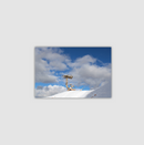 Lone Bristlecone Pine (Bryce Canyon National Park) | Canvas Print [001]