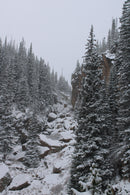 Below The Loch (Rocky Mountain National Park) | Canvas Print [002]