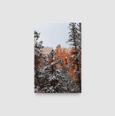 Winter Forest Hoodoos (Bryce Canyon National Park) | Canvas Print [004]